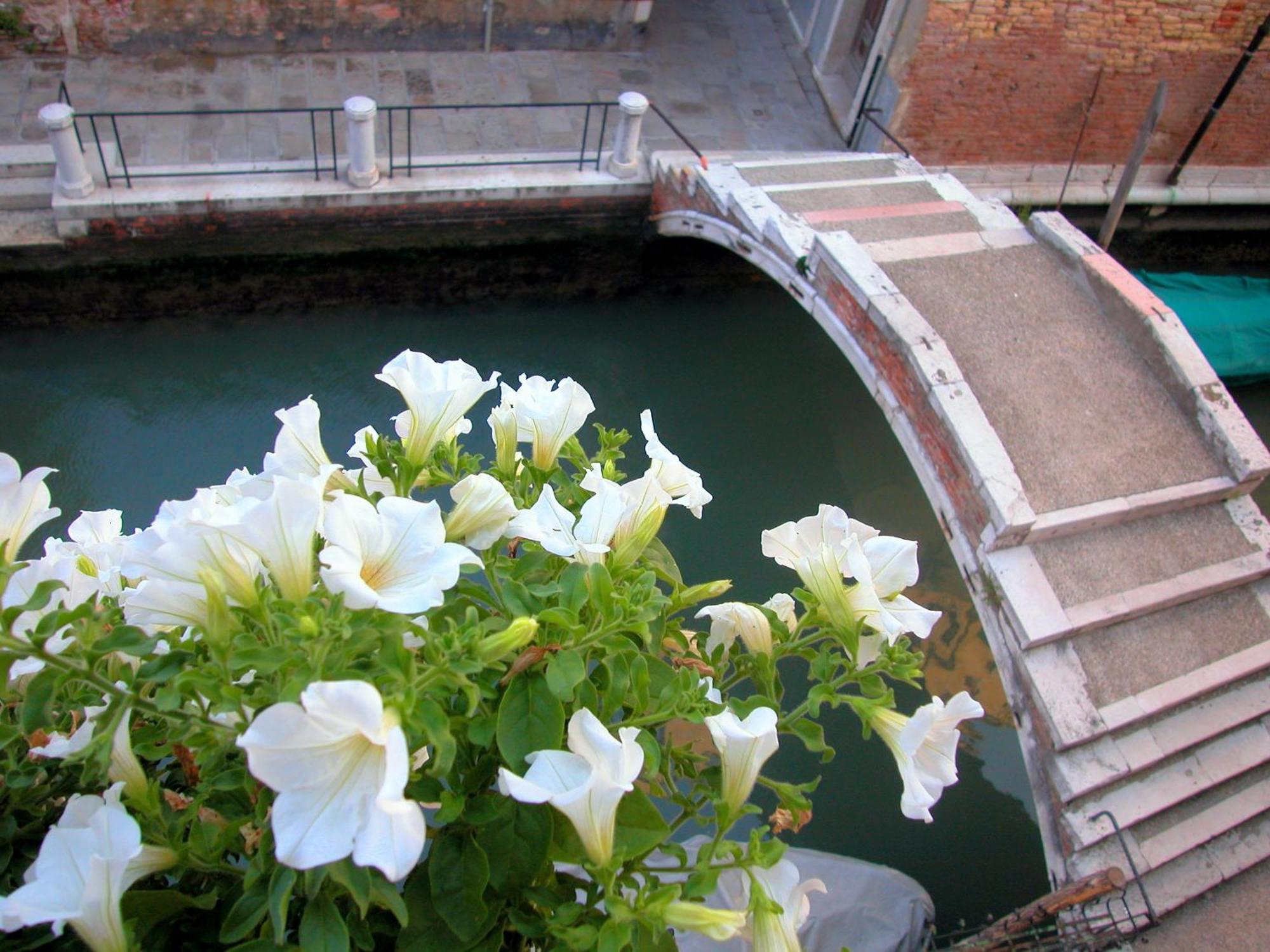 3749 Pontechiodo Acomodação com café da manhã Veneza Quarto foto